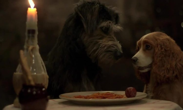 Lady and the Tramp live-action