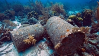Cảnh báo nguy cơ tuyệt chủng của hệ sinh thái đại dương