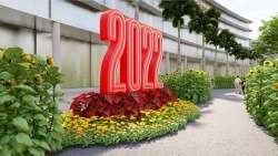 Du ngoạn ba miền tại Hội hoa xuân Phú Mỹ Hưng 2022