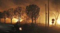 Cháy rừng ở Hy Lạp buộc hàng trăm người phải sơ tán