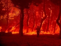 Nắng nóng gay gắt, Hy Lạp và Séc nỗ lực dập tắt cháy rừng ở các vườn quốc gia