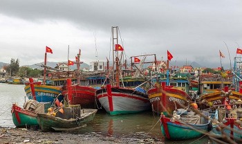 Quảng Bình hỗ trợ hơn 20 tỷ đồng cho chủ tàu cá đi khai thác vùng biển xa