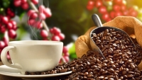 Giá cà phê hôm nay 4/8: Arabica đảo chiều tăng, robusta đi ngang;  Thị trường vẫn khó lường