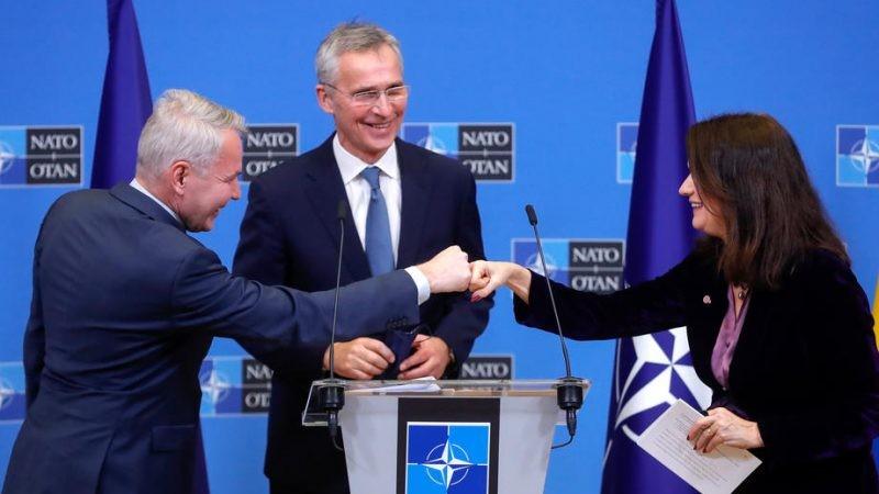 Thụy Điển và Phần Lan sẽ mang lại lợi thế gì cho NATO ở phía bắc?  - Ảnh 1.