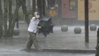Thiên tai và tai nạn thế giới ngày 13/8: Sập sân khấu ở Tây Ban Nha, Philippines động đất mạnh, bão gây mưa lớn ở Nhật Bản