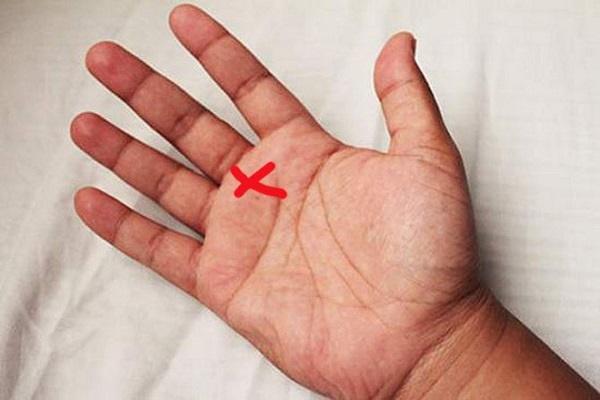 6 đường chỉ tay hiếm có khó tìm: 4 đường phú quý, 2 đường thất bại-2