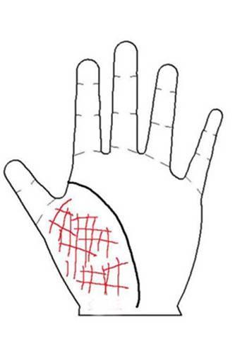 6 đường chỉ tay hiếm có khó tìm: 4 đường phú quý, 2 đường thất bại-6