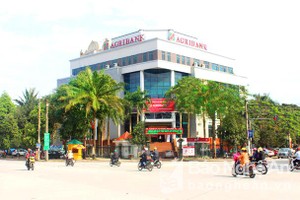 Agribank CN Nghệ An tuyển dụng lao động đặc cách 2022