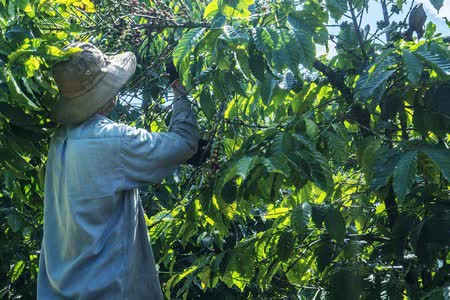     Khách Tây tóm tắt hướng dẫn uống cà phê chuẩn Việt: Ly nước đẹp đến ứa nước miếng!  - Ảnh 1.