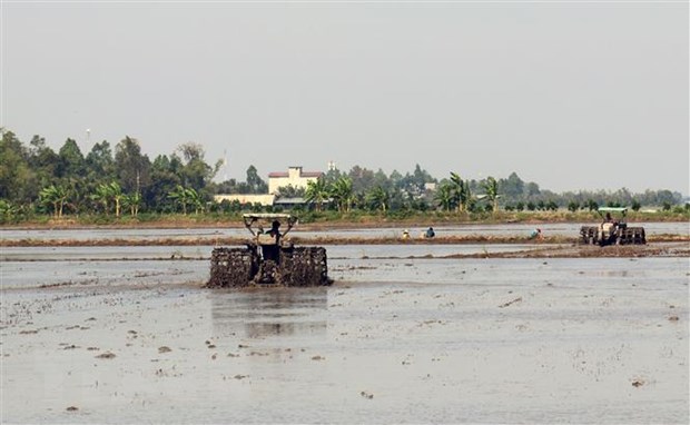 Dong Bang Song Cuu Long Tan Dung Dung Tu Kinh te Song Hinh Anh 2